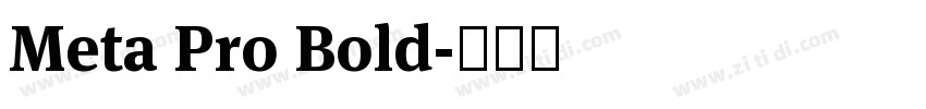 Meta Pro Bold字体转换